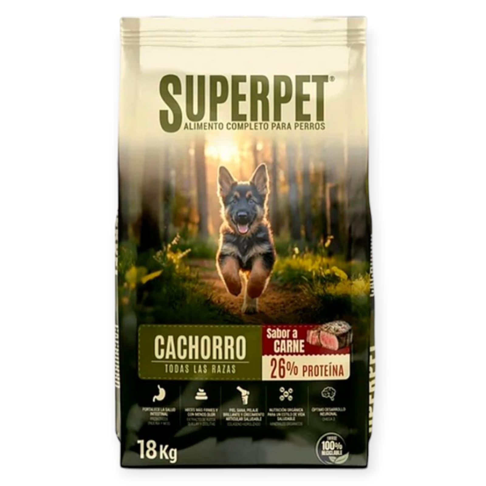 Superpet Cachorro Carne 18 kg